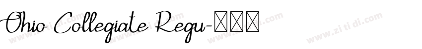 Ohio Collegiate Regu字体转换